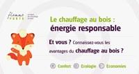 FlammeVerte_Miniature_Chauffage-au-bois-energie-re